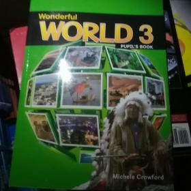 Wonderful World 3