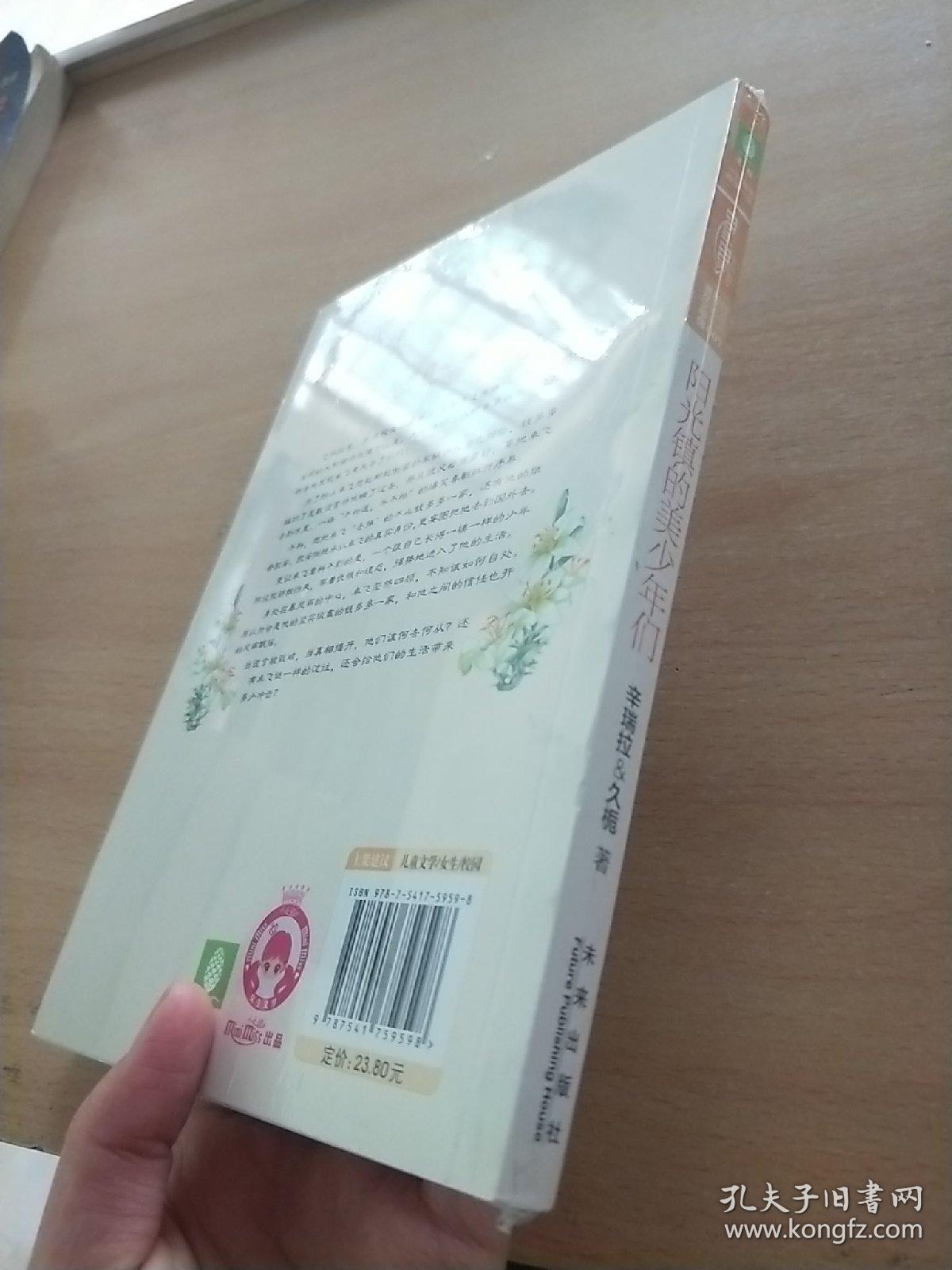小小姐：阳光镇的美少年们