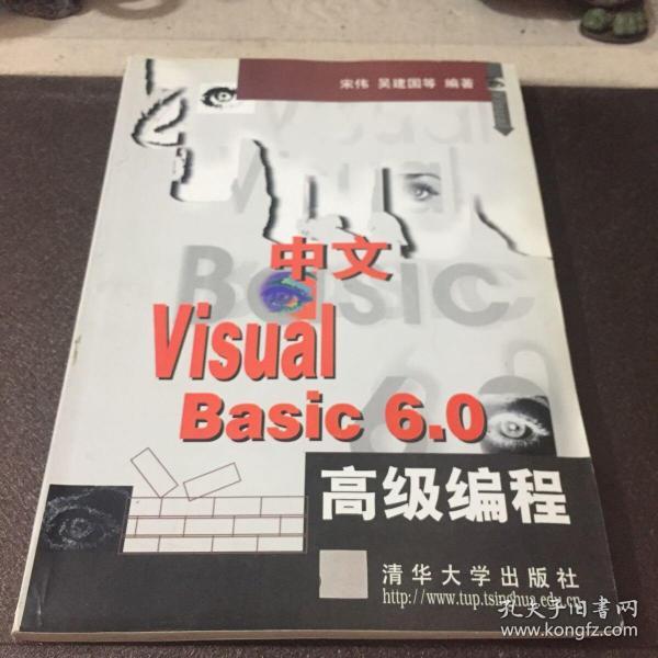 中文 Visual Basic 6.0 高级编程