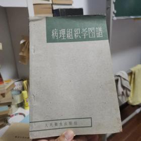 病理组织学图谱