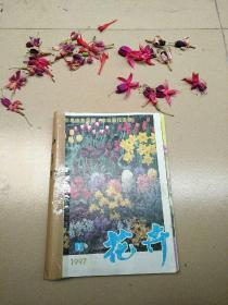 花卉1997（1—6双月刊）