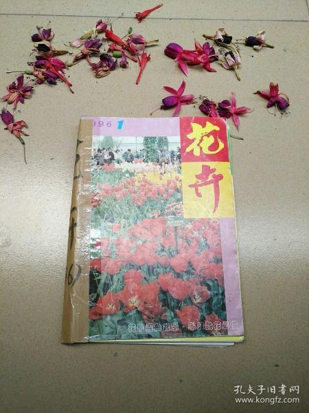 花卉1996（1—6双月刊）
