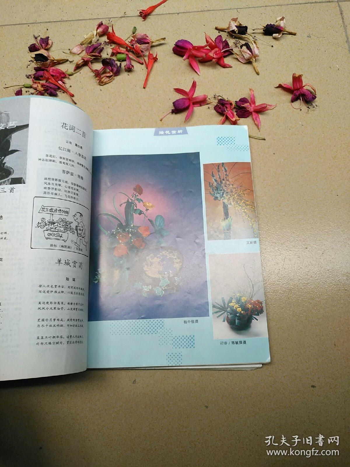 花卉1996（1—6双月刊）