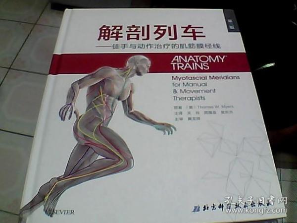 解剖列车——徒手与动作治疗的肌筋膜经线 精装简体中文第三版运动解剖学运动教练康复师徒手治疗师按摩治疗师针灸师身体治疗师 解剖列车——徒手与动作治疗的肌筋膜经线 精装简体中文第三版运动解剖学运动教练康复师徒手治疗师按摩治疗师针灸师身体治疗师