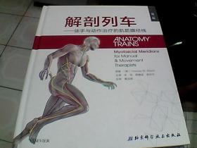 解剖列车——徒手与动作治疗的肌筋膜经线 精装简体中文第三版运动解剖学运动教练康复师徒手治疗师按摩治疗师针灸师身体治疗师 解剖列车——徒手与动作治疗的肌筋膜经线 精装简体中文第三版运动解剖学运动教练康复师徒手治疗师按摩治疗师针灸师身体治疗师