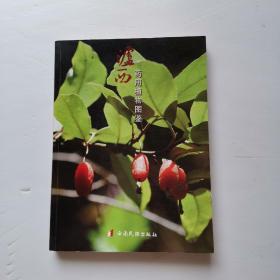 泸西药用植物图鉴【有签名】