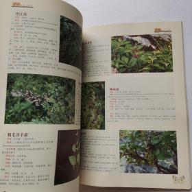 泸西药用植物图鉴【有签名】
