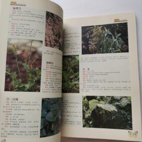 泸西药用植物图鉴【有签名】