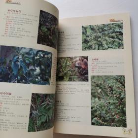 泸西药用植物图鉴【有签名】