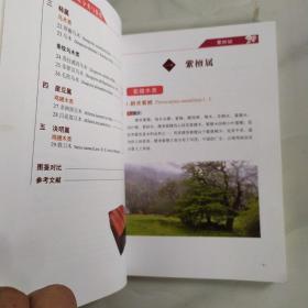 中国国标 红木分类与鉴赏