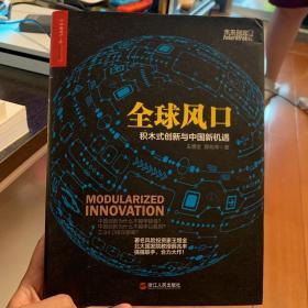 全球风口：积木式创新与中国新机遇