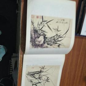 中国经典书画丛书·芥子园画传：兰谱