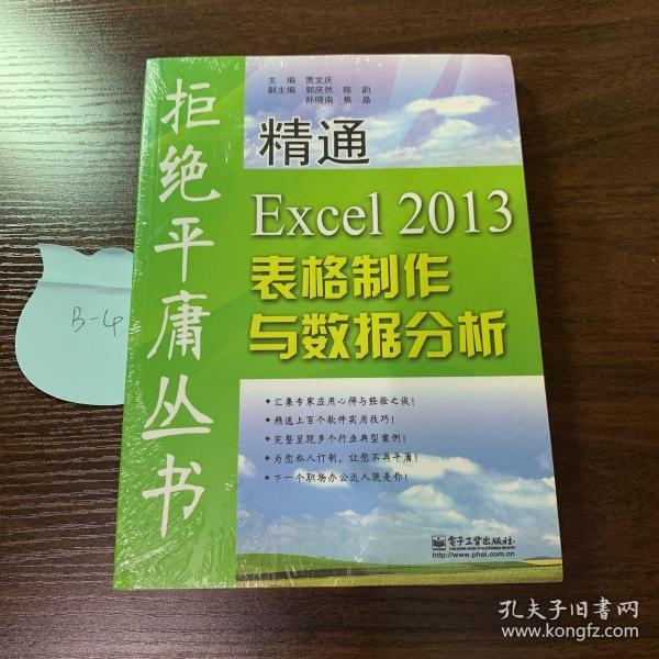 拒绝平庸丛书：精通Excel 2013表格制作与数据分析