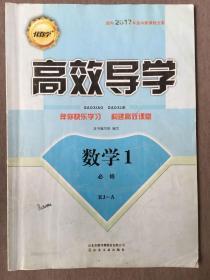 伴你学▪高效导学  数学1 必修