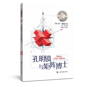 孔明锁与矩阵博士/马丁·加德纳数学游戏全集