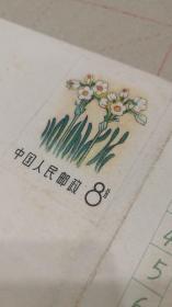 M.1.（10-8）1982 美术邮资信封花卉封(未使用) 罕见 稀少