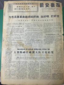 日报 新安徽报1969年3月19日（4开四版）；
胸中有全局 努力赶先进；
打寨精神在臧溪大队开花结果。