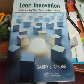 Lean Innovation: Understanding What's next in today's Economy