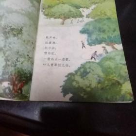 梨