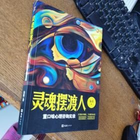灵魂摆渡人：重口味心理咨询实录