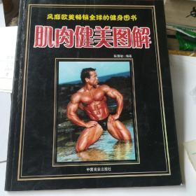 肌肉健美图解