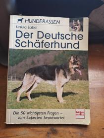 Der Deutsche schafrrhund