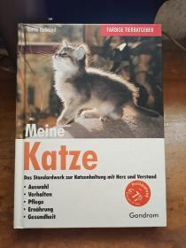 Meine katze