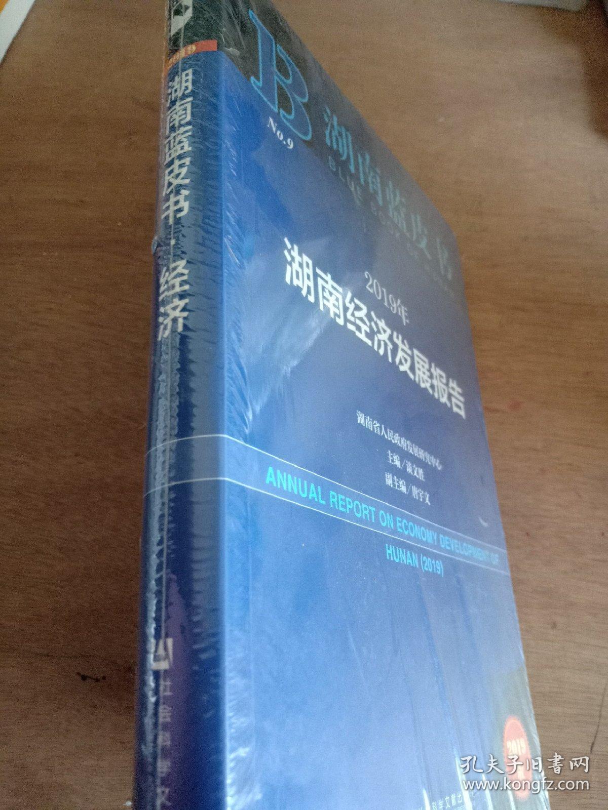 湖南经济发展报告——2019年湖南发展研究报告