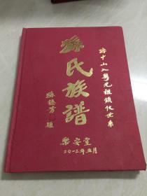 孙氏族谱-孙中山入粤先祖锁仪世系