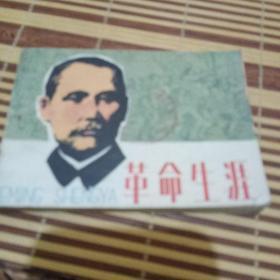 连环画革命生涯