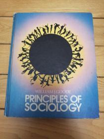 WILLAMJ.GOODE《 PRINCIPLES OF SOCIOLOGY》威廉·古德《社会学原理》