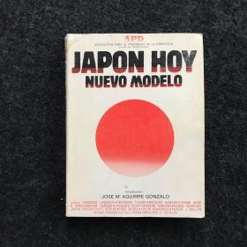 JAPON HOY-NUEVO MODELO