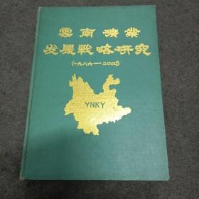 云南矿业发展(1986~2000)