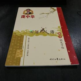 庞中华钢笔字:实用成语 楷书钢笔字帖