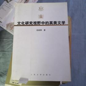 《文化研究视野中的英美文学》人民文学出版@F--025-1