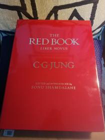 The Red Book：Liber Novus