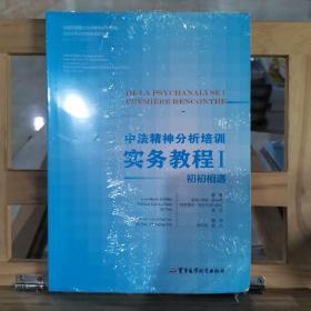 中法精神分析培训实务教程1:初初相遇