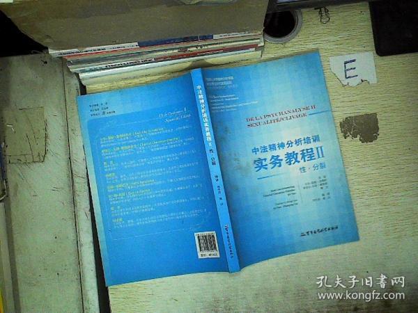 中法精神分析培训实务教程2：性·分裂