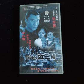 VCD：十八集电视连续剧-黑色金三角【盒装  18碟装】主演-孙红雷 午马等