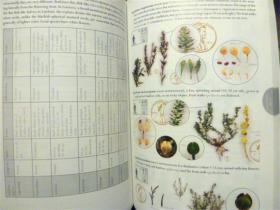 英文原版    Flora of the Santa and River and Environs: With References to World Botany       河流及周围的植物群