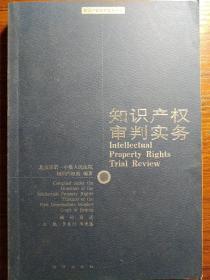 知识产权审判实务——知识产权审判实务丛刊