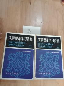 文学理论学习资料(上下册)