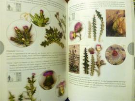 英文原版    Flora of the Santa and River and Environs: With References to World Botany       河流及周围的植物群