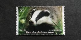 德国邮票（动物）：2009 Fauna - European Badger欧洲獾 1套1枚