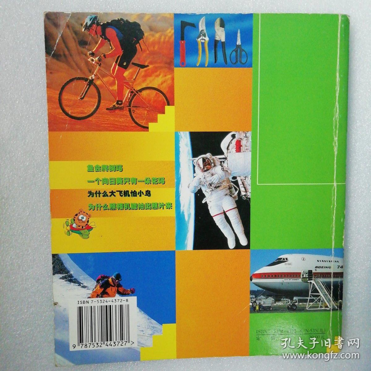 为什么大飞机怕小鸟
