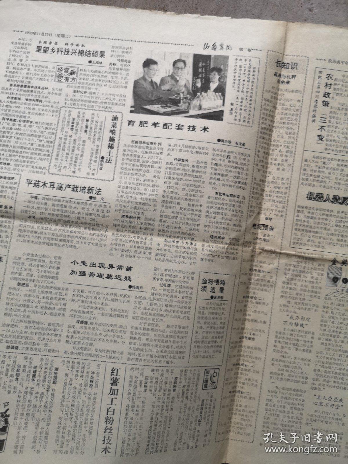 山西农民（山西日报农村版），1990年11月20日（编号1361）