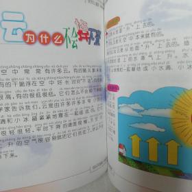 为什么大飞机怕小鸟