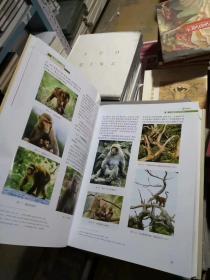 正版精装《中国珍稀野生动物分布变迁》铜版纸精美印刷！2009年一版一印