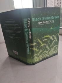 Black Swan Green  【英文原版，精装本，品相佳】