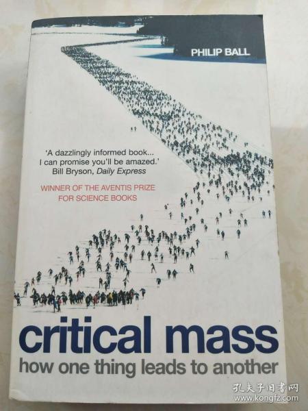 Critical Mass：How One Thing Leads to Another